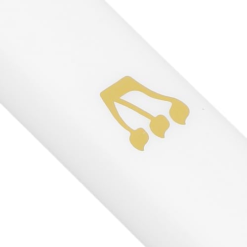 MAGICLULU Mezuzah Case with Scroll Set
