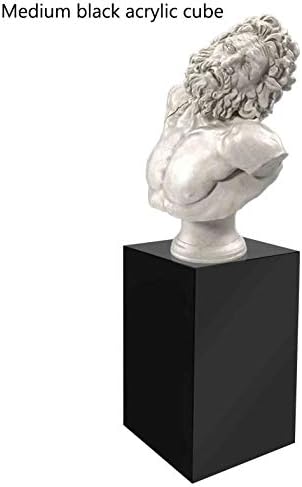 Black Acrylic Sculpture Stand Pedestal 12x12x24h