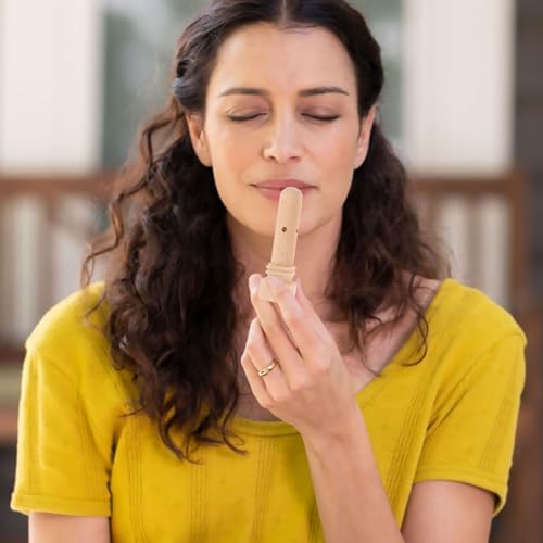 Beaupretty Aromatic Diffuser Stick for Home Fragrance