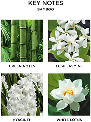 NEST Fragrances Bamboo Scent Refill Set of 2