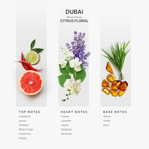 Aromaplan Hotel Scents Dubai 5 Fl Oz 2 Pack Luxury Diffuser Oil