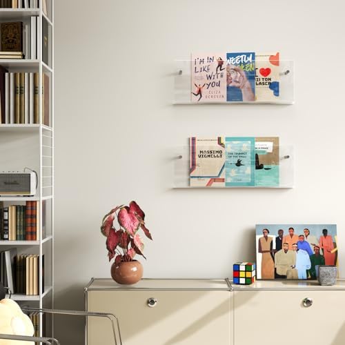 Acrylic Magazine Holder 2 Pack Clear 17 Inch Wall Mount