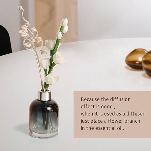 Project Wine Reed Diffuser Sticks for Home Decor