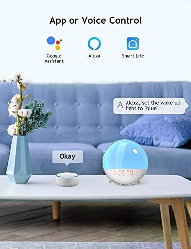 Smart Sunrise Alarm Clock with 4 Alarms and FM Radio
