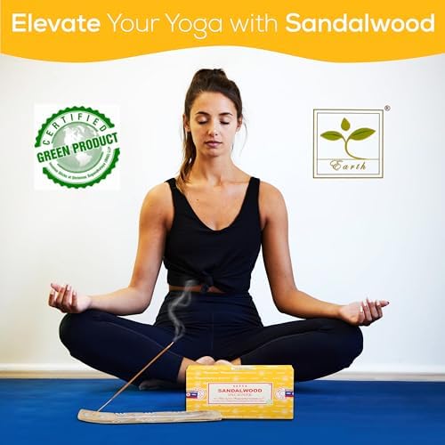 Satya Sandalwood Incense Sticks 15gmx12 Pack with Raajsee Holder
