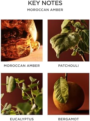 NEST New York Reed Diffuser Moroccan Amber 59 Fl Oz