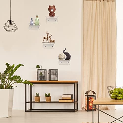 Trailwalk Acrylic Mini Floating Wall Shelf 8 Pack