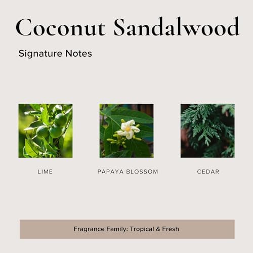 Broken Top Natural Reed Diffuser Set Coconut Sandalwood
