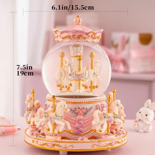 You Are My Sunshine Snow Globe Music Box for Women Girls