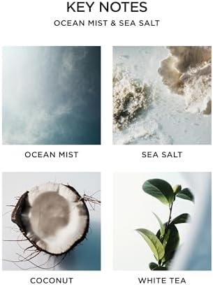 NEST New York Reed Diffuser Ocean Mist Sea Salt 59 Fl Oz