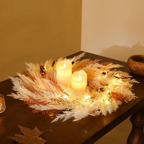 DecorbyHannah 24 Inch Pre-Lit Fall Door Wreath