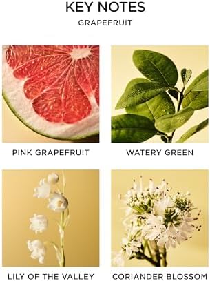 NEST New York Reed Diffuser Liquid Refill - Grapefruit 59 Fl Oz