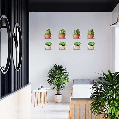 Trailwalk Acrylic Mini Floating Wall Shelf 8 Pack