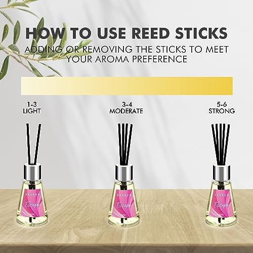 3 Pack Reed Diffuser Set with 15 Sticks Escape Vanilla Moroccan Amber