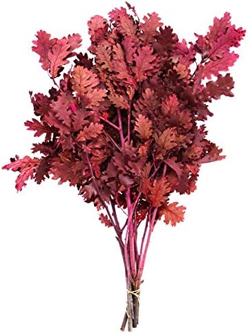 SuperMoss Dried Flowers Oak Red 40oz