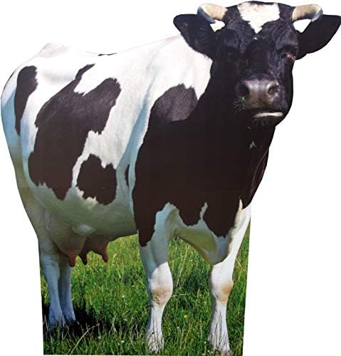 Aahs Engraving Cow Life Size Cardboard Cutout Stand Up