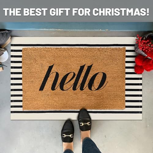 IOHOUZE Black Beige Striped Rug 2x3 Front Door Mat