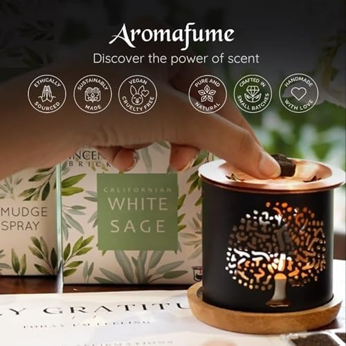 Aromafume White Sage Incense Brick Gift Set