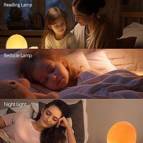 Wake Up Light Sunrise Alarm Clock with White Noise and Dual Alarm