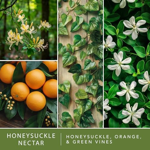 Scentsationals Wax Melts - Honeysuckle Nectar 10oz 24 Cubes