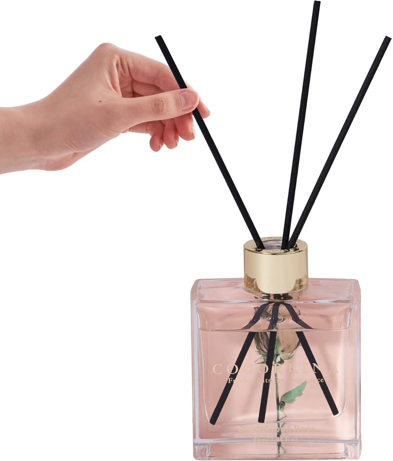 Cocorrina Reed Diffuser Set of 3