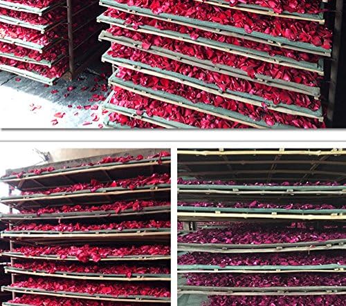TooGet Dried Real Rose Petals 2OZ Red