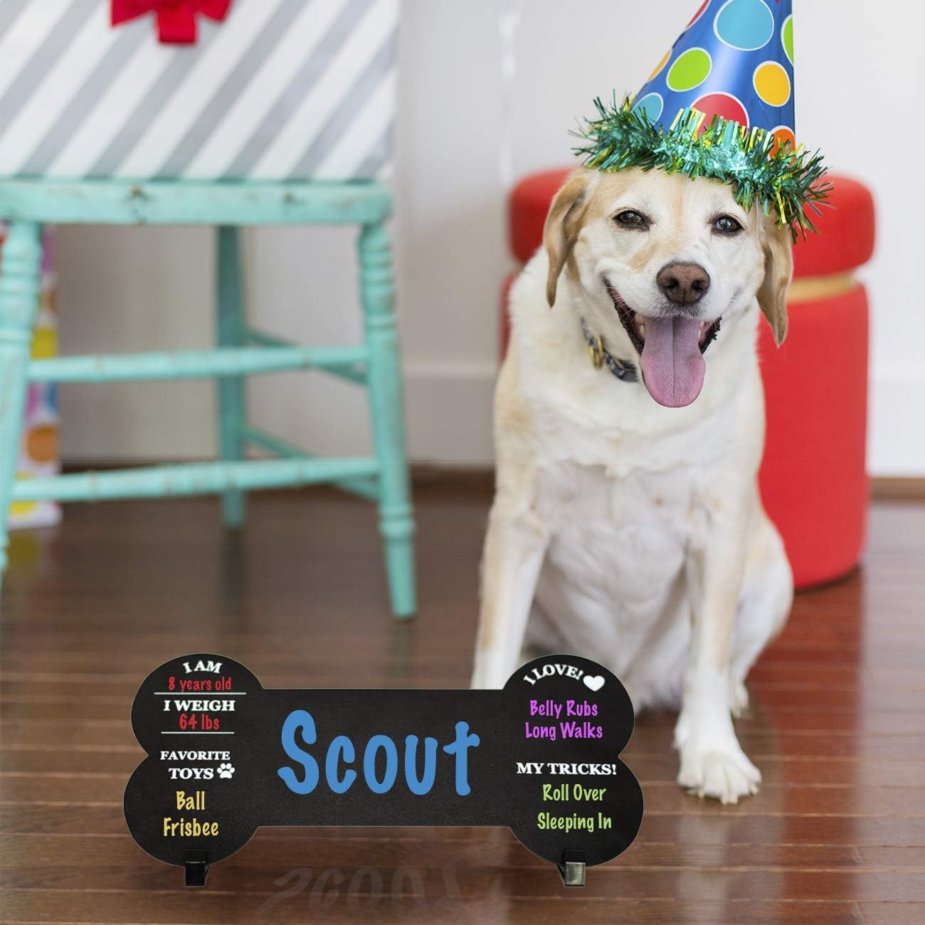 Dog Milestone Chalkboard Sign - Double Sided Reusable with Stands for Celebrations