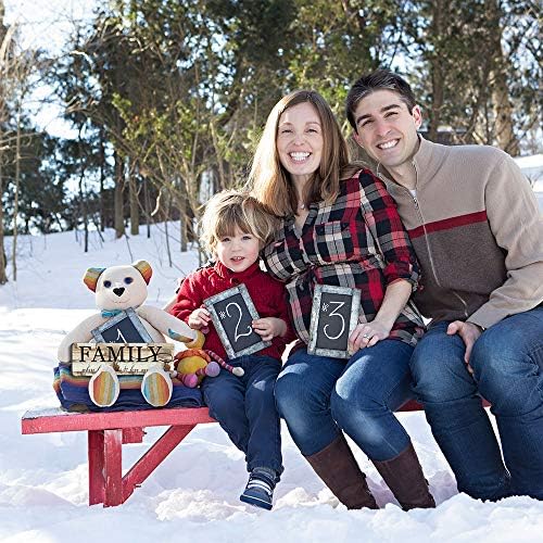 Family Wall Art Sign - Wood Decor Plaque 16x5