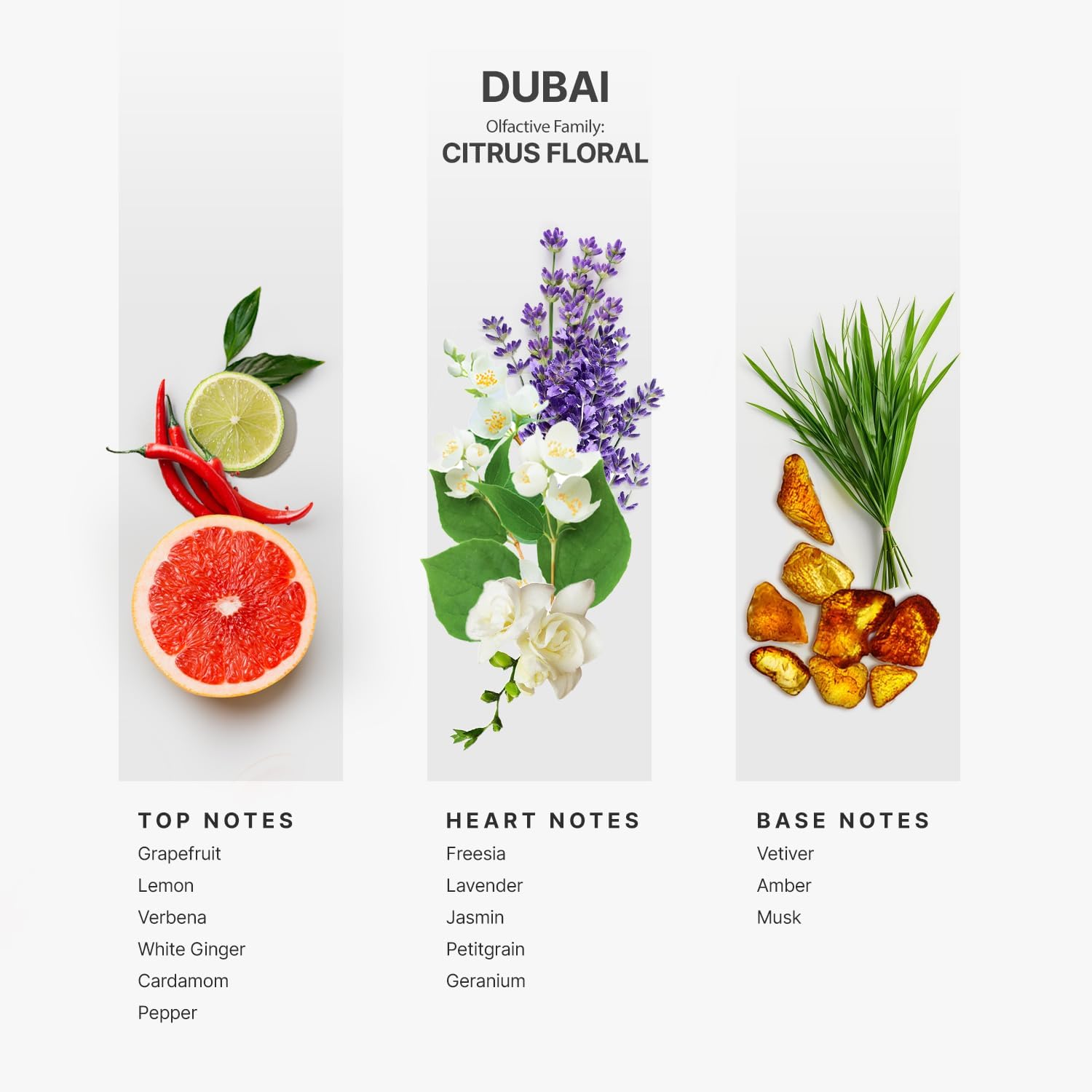 Aromaplan Hotel Scents Dubai 5 Fl Oz 2 Pack Luxury Diffuser Oil
