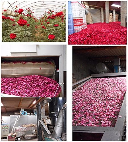 TooGet Dried Real Rose Petals 2OZ Red