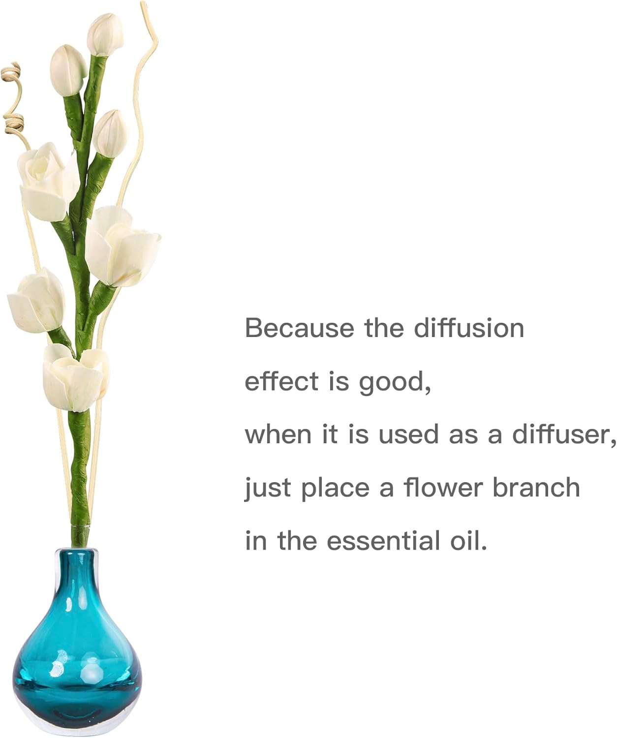 Project Wine Reed Diffuser Sticks for Home Decor