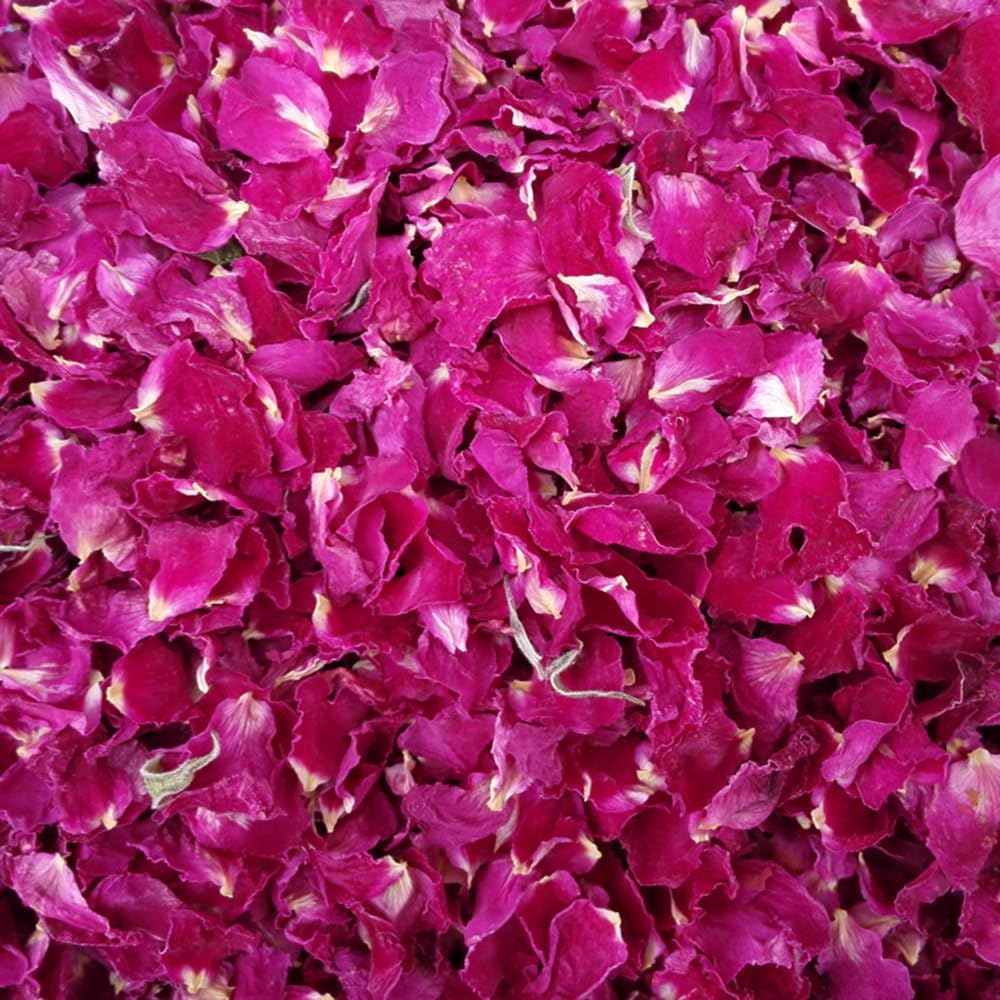 TooGet Dried Real Rose Petals 2OZ Red