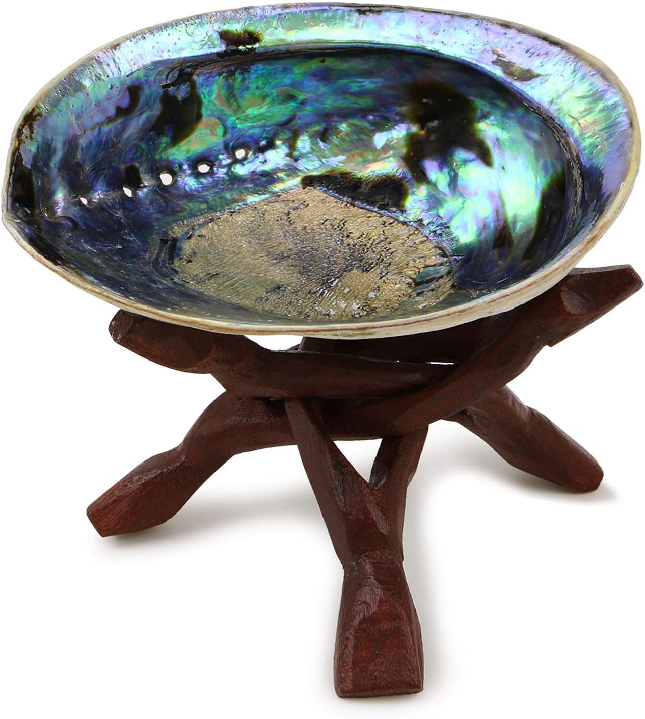 Ocean Shell Studios Premium Natural Abalone Shell with Stand