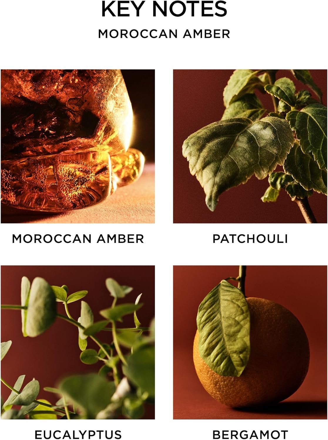 NEST New York Reed Diffuser Moroccan Amber 59 Fl Oz