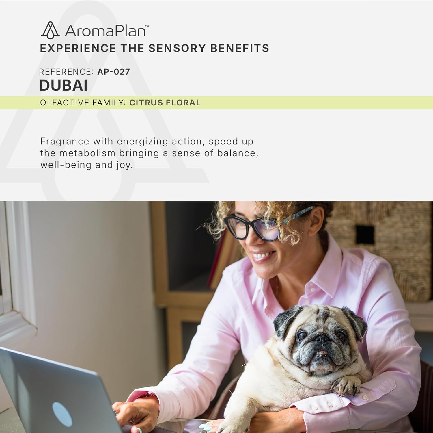 Aromaplan Hotel Scents Dubai 5 Fl Oz 2 Pack Luxury Diffuser Oil
