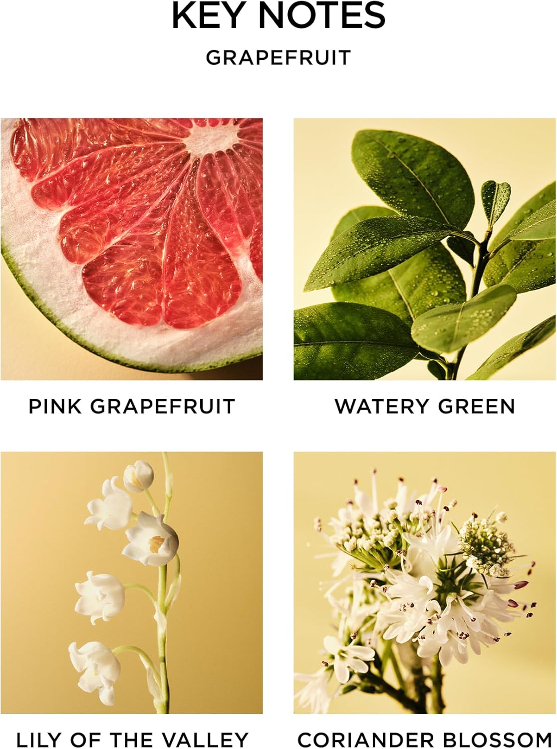 NEST New York Reed Diffuser Liquid Refill - Grapefruit 59 Fl Oz