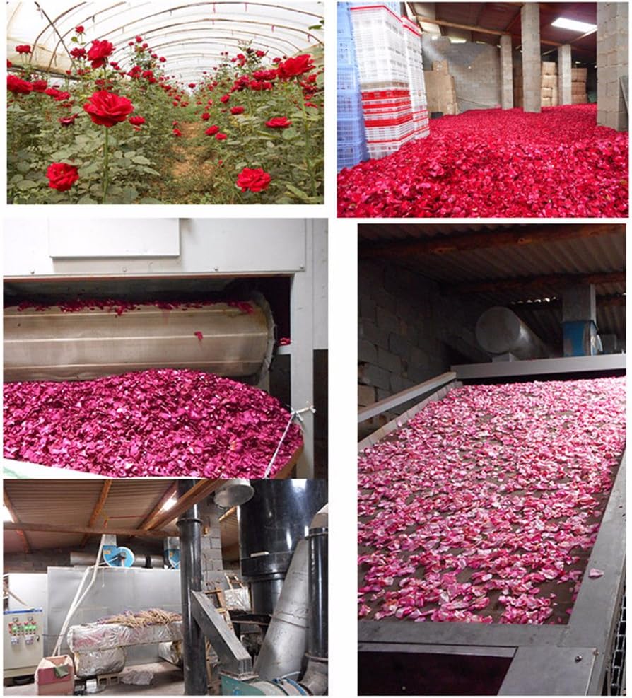 TooGet Dried Real Rose Petals 2OZ Red