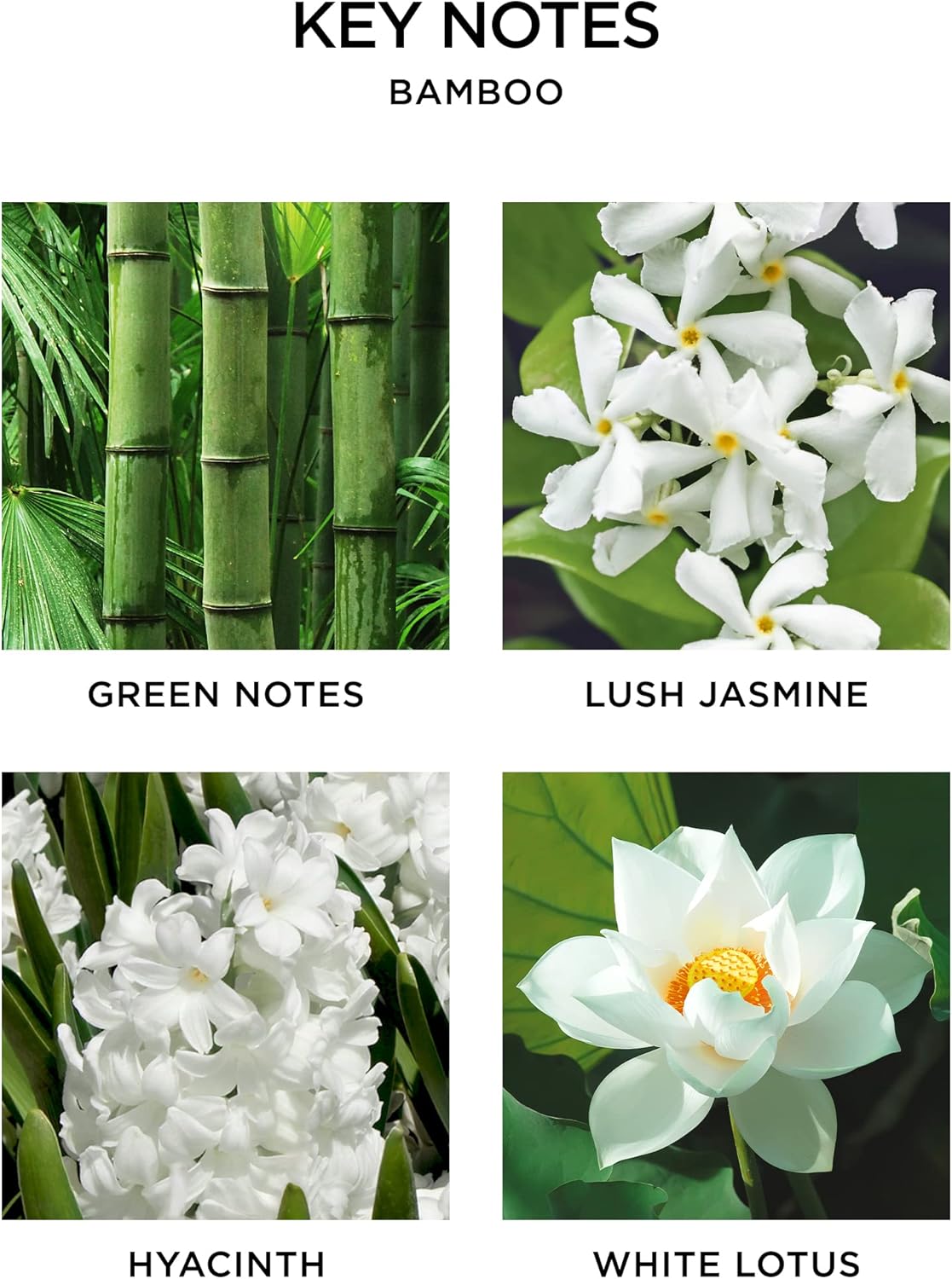 NEST Fragrances Bamboo Scent Refill Set of 2