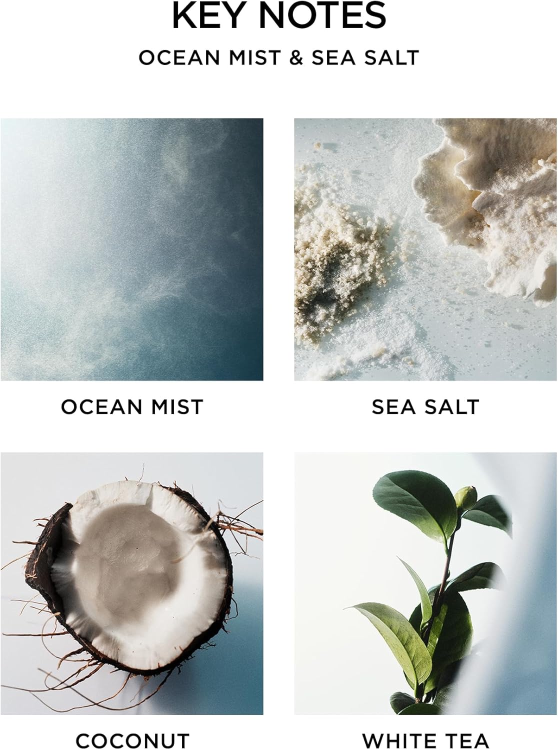 NEST New York Reed Diffuser Ocean Mist Sea Salt 59 Fl Oz