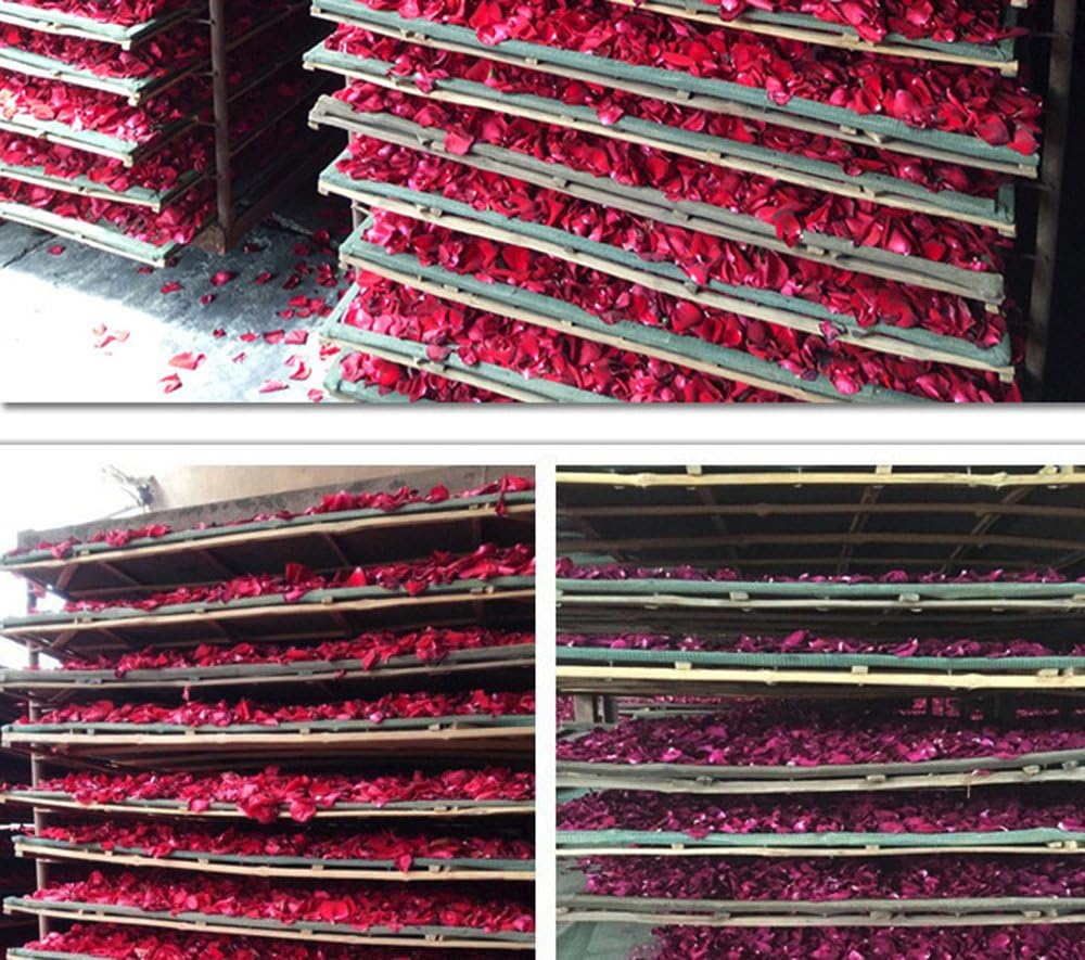 TooGet Dried Real Rose Petals 2OZ Red