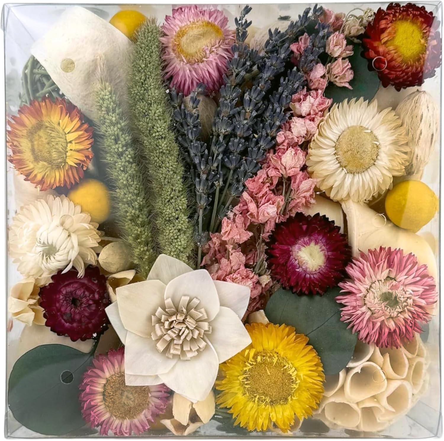 ANDALUCA Maison Box Dried Flowers Fragrance Decor