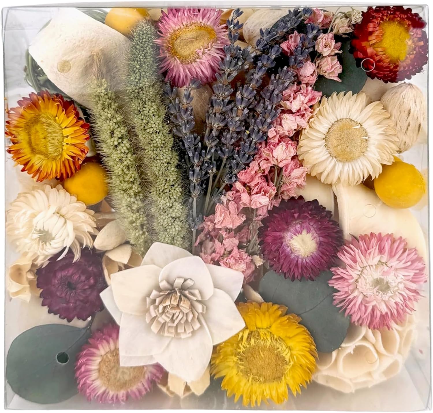 ANDALUCA Maison Box Dried Flowers Fragrance Decor