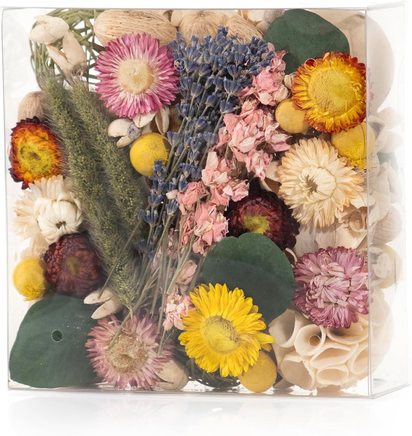 ANDALUCA Maison Box Dried Flowers Fragrance Decor