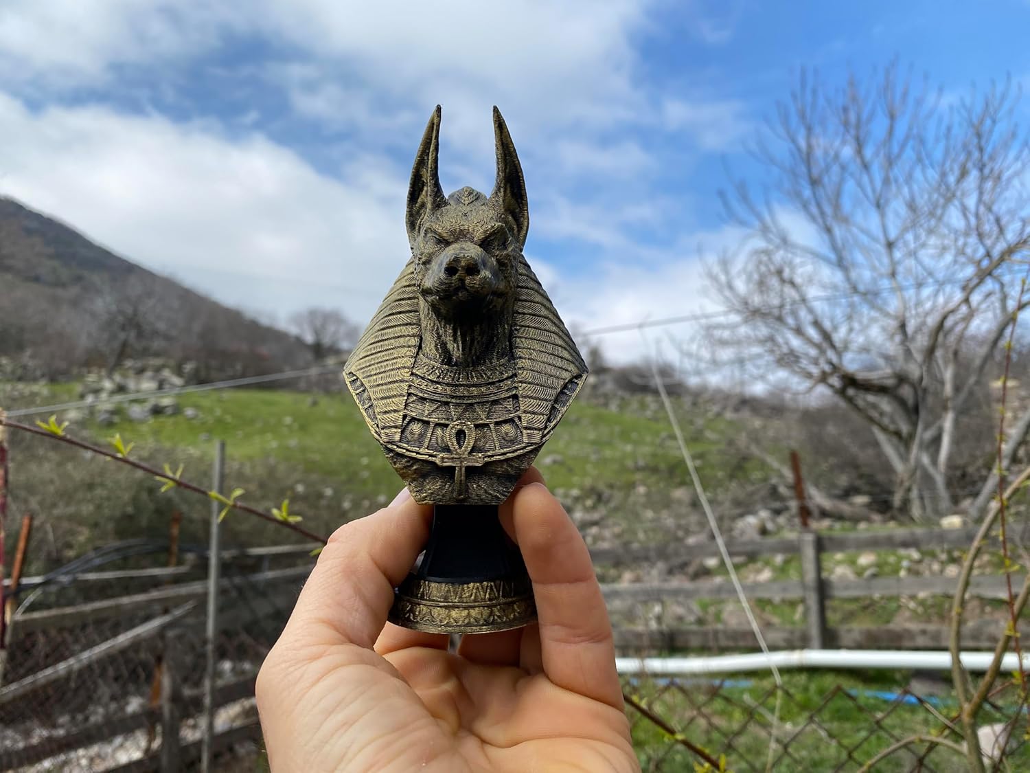 Anubis Bust Statue - 3D Printed Hand Painted Figurine
