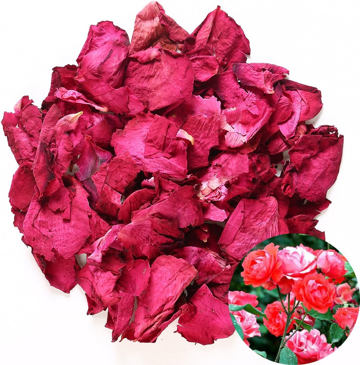 TooGet Dried Real Rose Petals 2OZ Red