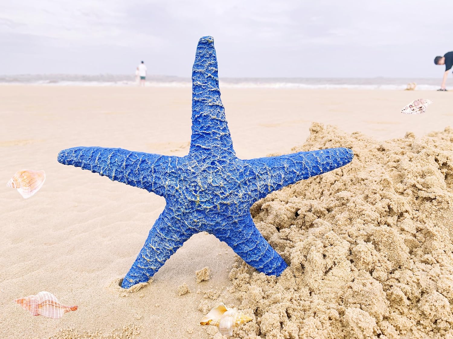 Wgg hdfa Blue Starfish Wall Hanging Decoration