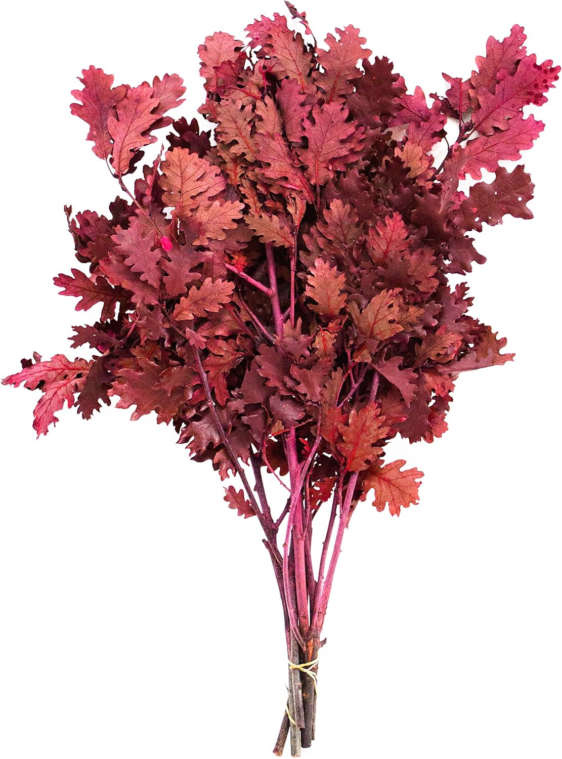 SuperMoss Dried Flowers Oak Red 40oz